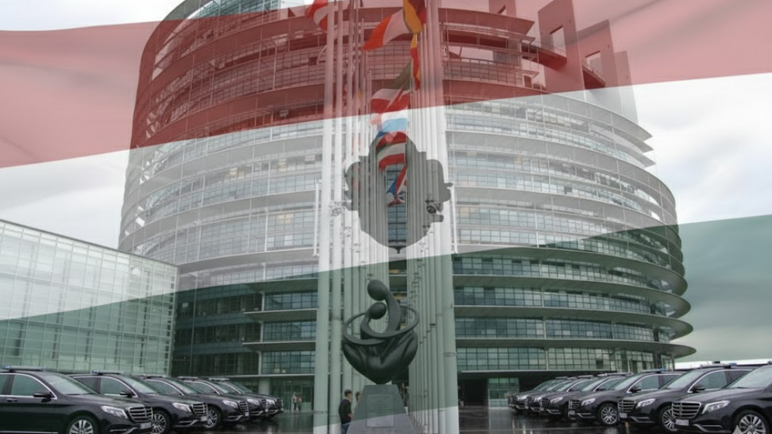 Europai parlamenti választások jelölt indítás - MSZDP